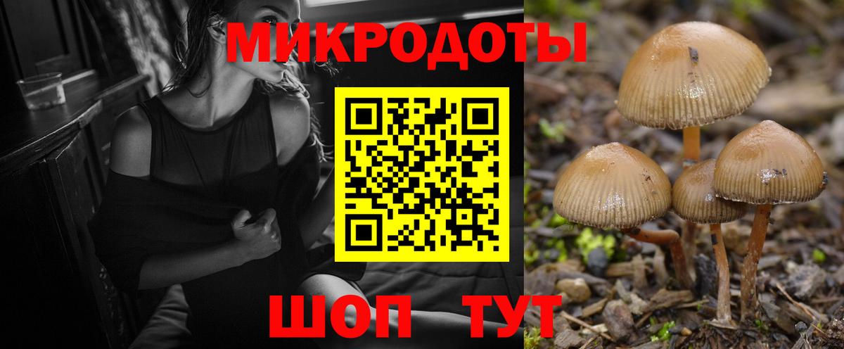 Галлюциногенные грибы Psilocybine cubensis Кимовск