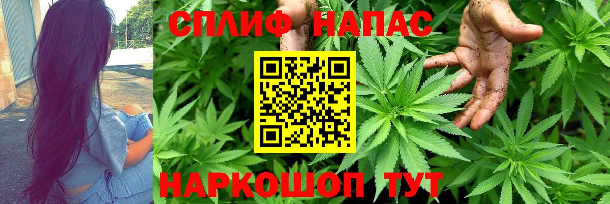 Шишки марихуана Amnesia Кимовск